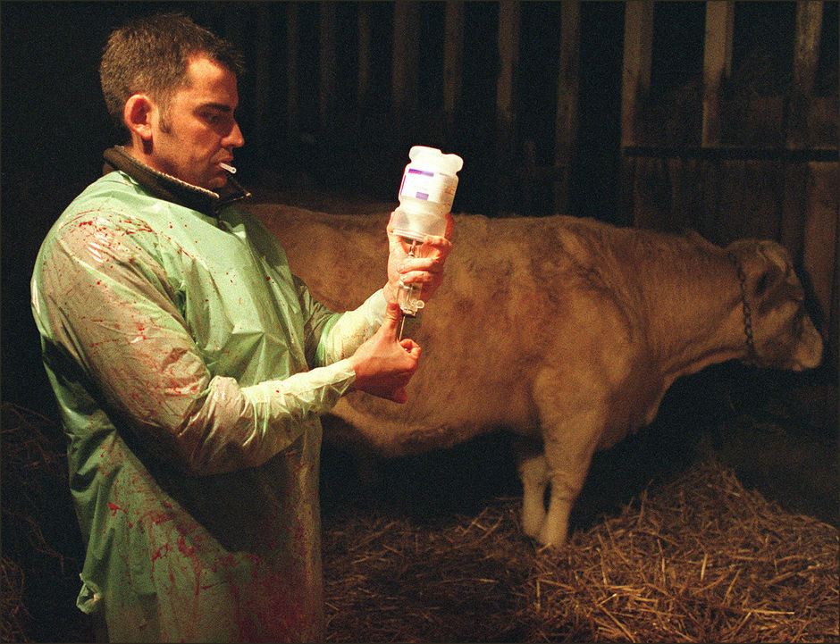 Objectif -50% d'antibiotiques dans l'élevage